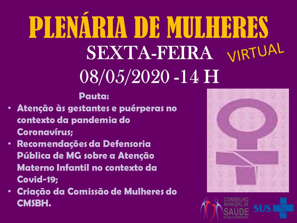 Plenária de Mulheres do Conselho Municipal de Saúde de BH debate atenção às gestantes na pandemia 1
