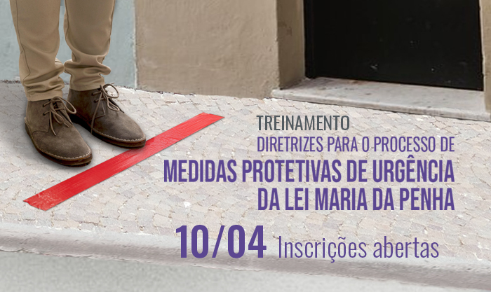 Defensoria Pública promove treinamento sobre medidas protetivas da Lei Maria da Penha 1