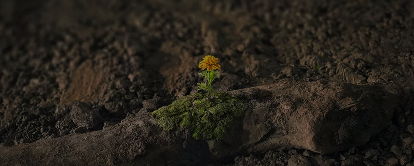 brumadinho-1