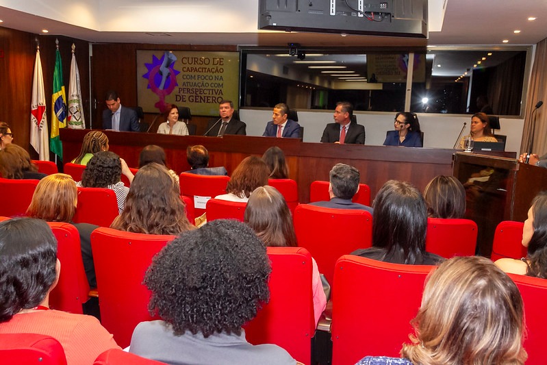 Defensora pública participa de curso sobre atuação com perspectiva de gênero promovido pelo MPMG  1